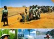 世界人口白書 2001 ～ 人類の足跡と未来への道標