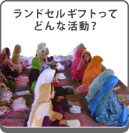 どんな活動？