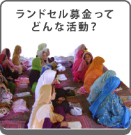 どんな活動？