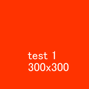 300x300_1