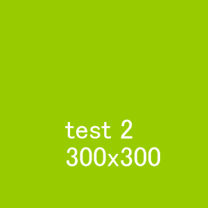 300x300_2