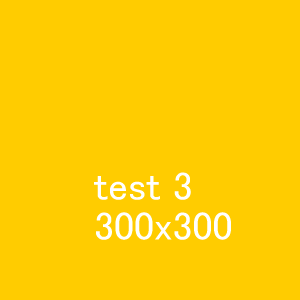 300x300_3